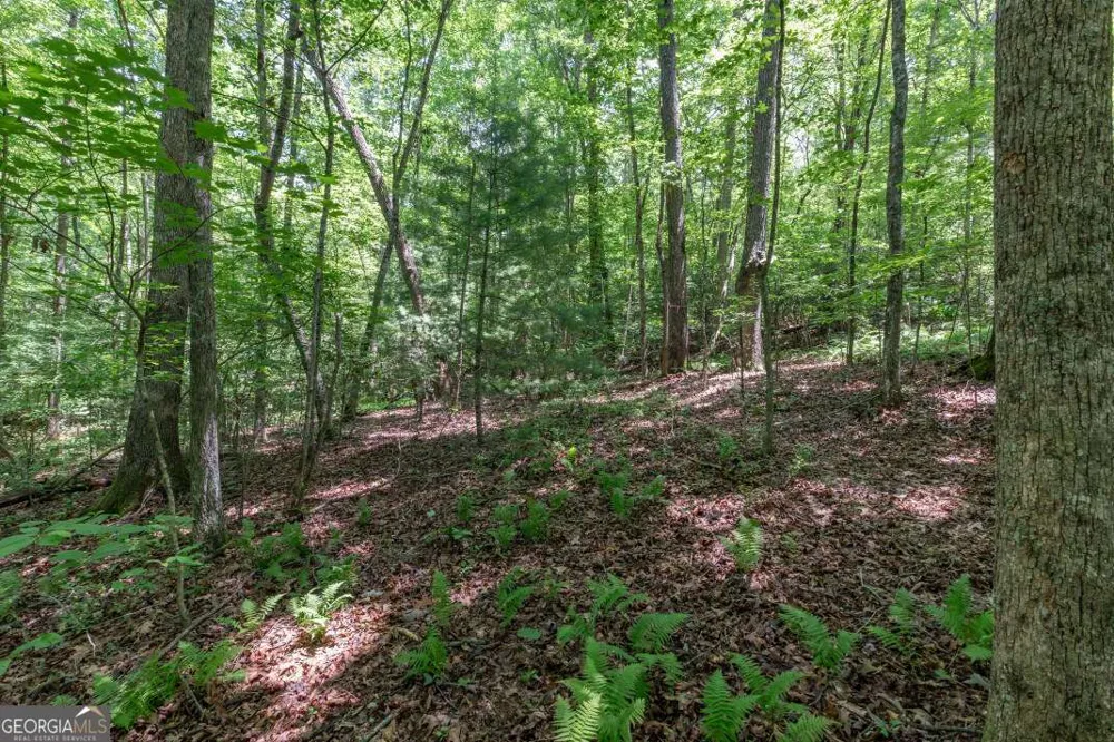 5 AC Solar DR Blue Ridge, GA 30513