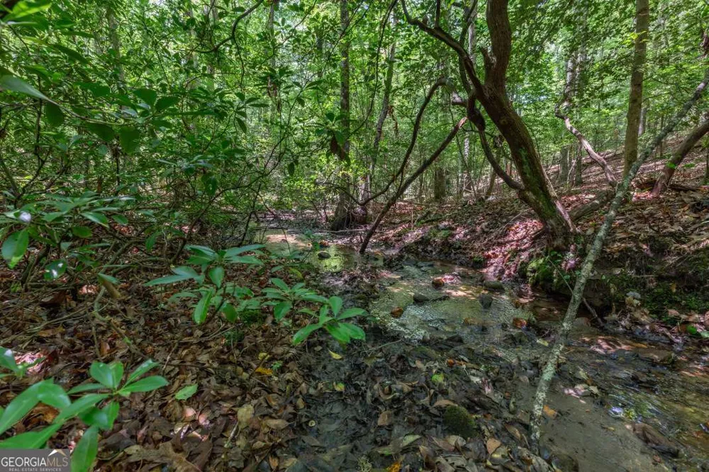 5 AC Solar DR Blue Ridge, GA 30513