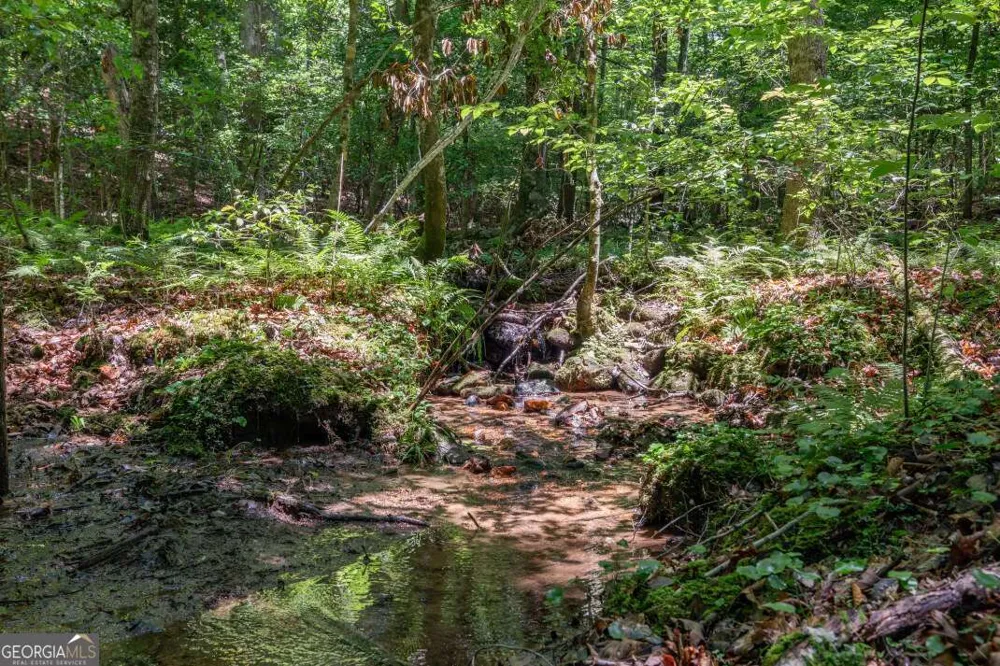 5 AC Solar DR Blue Ridge, GA 30513