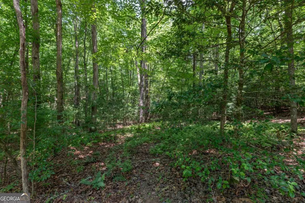 5 AC Solar DR Blue Ridge, GA 30513