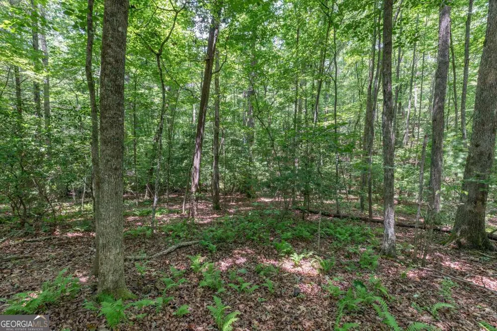5 AC Solar DR Blue Ridge, GA 30513