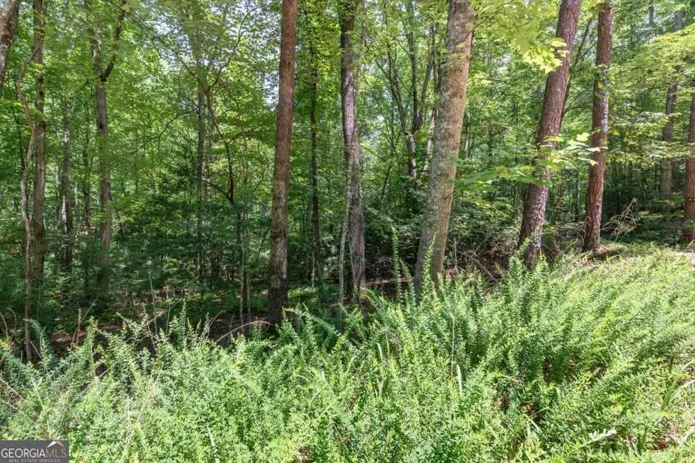 5 AC Solar DR Blue Ridge, GA 30513