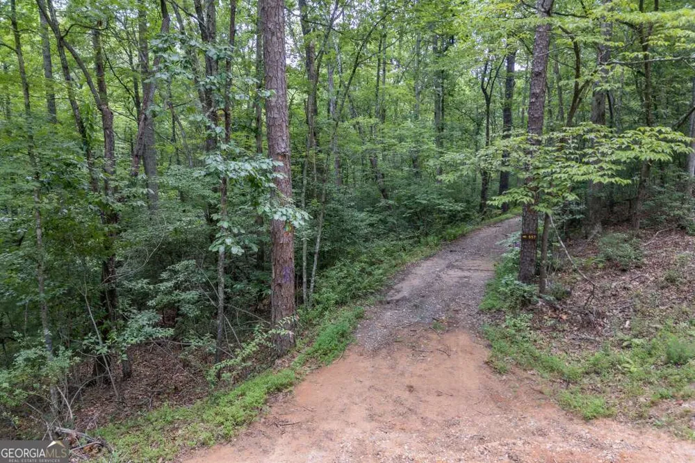 5 AC Solar DR Blue Ridge, GA 30513