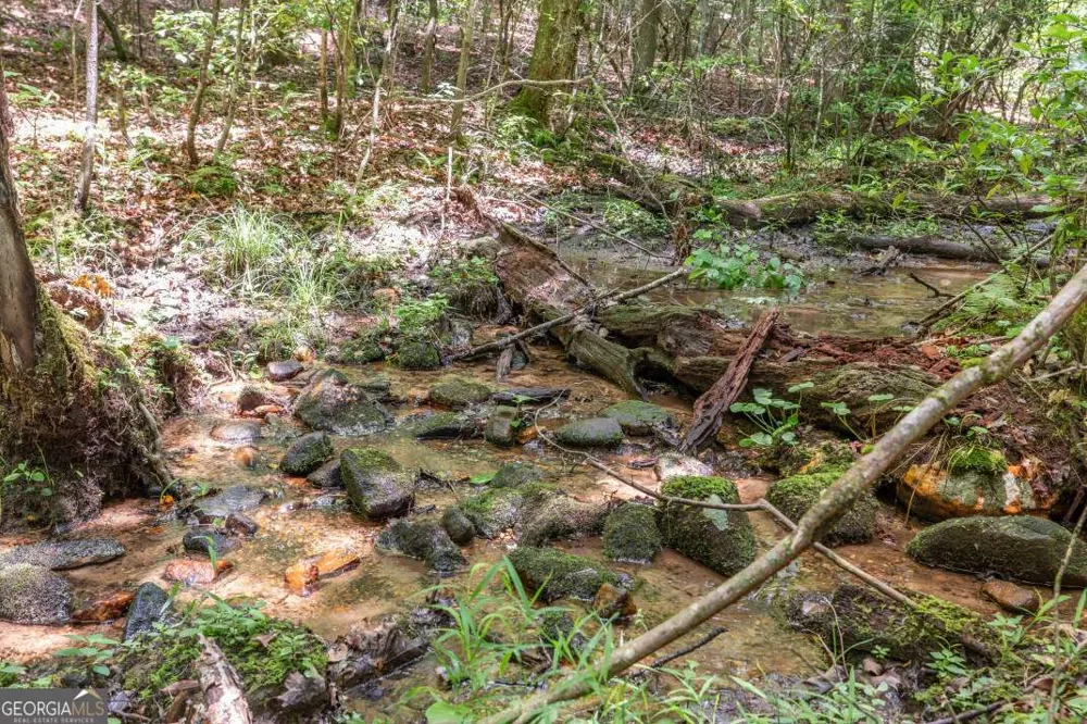 6 AC Solar DR Blue Ridge, GA 30513