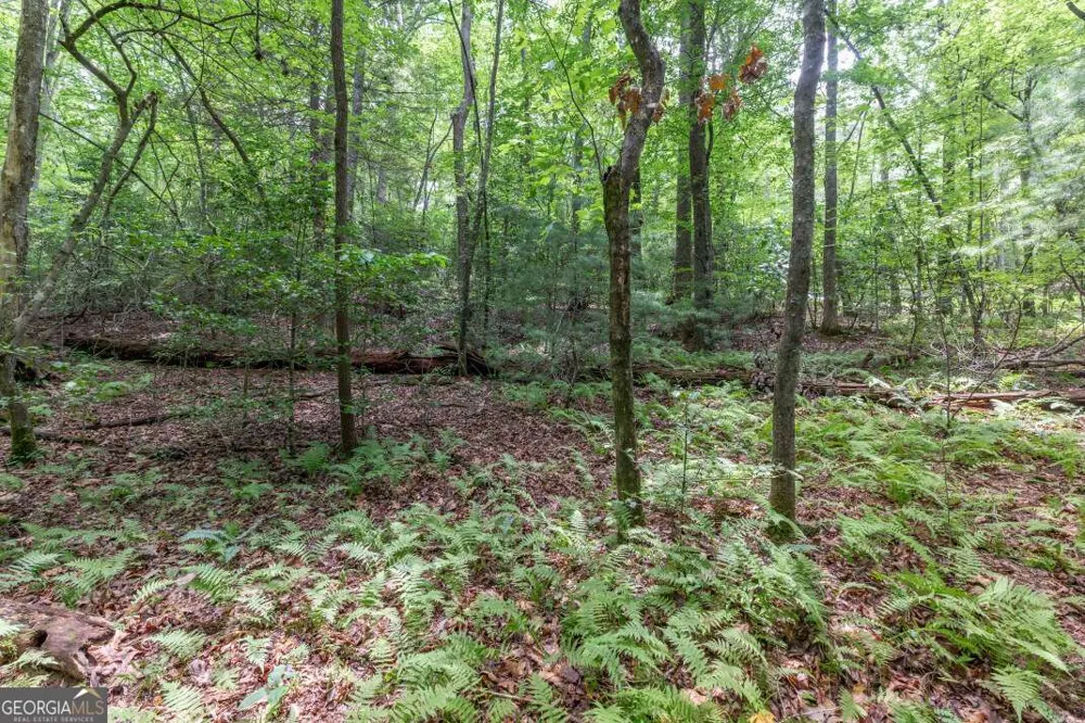 6 AC Solar DR Blue Ridge, GA 30513