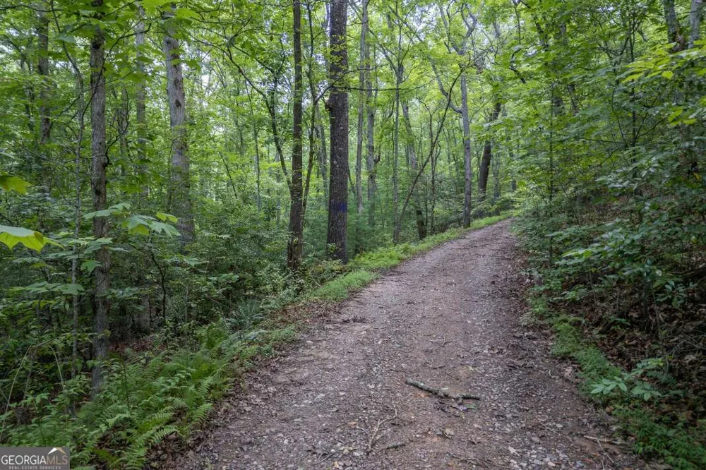 6 AC Solar DR Blue Ridge, GA 30513