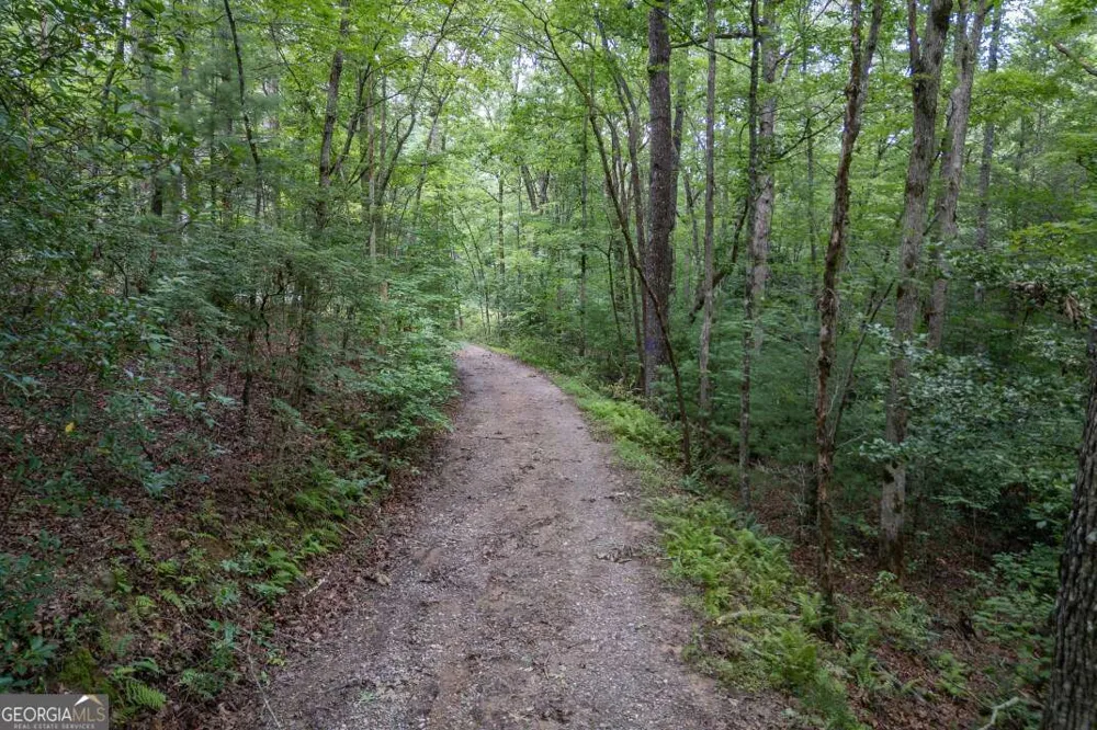 6 AC Solar DR Blue Ridge, GA 30513