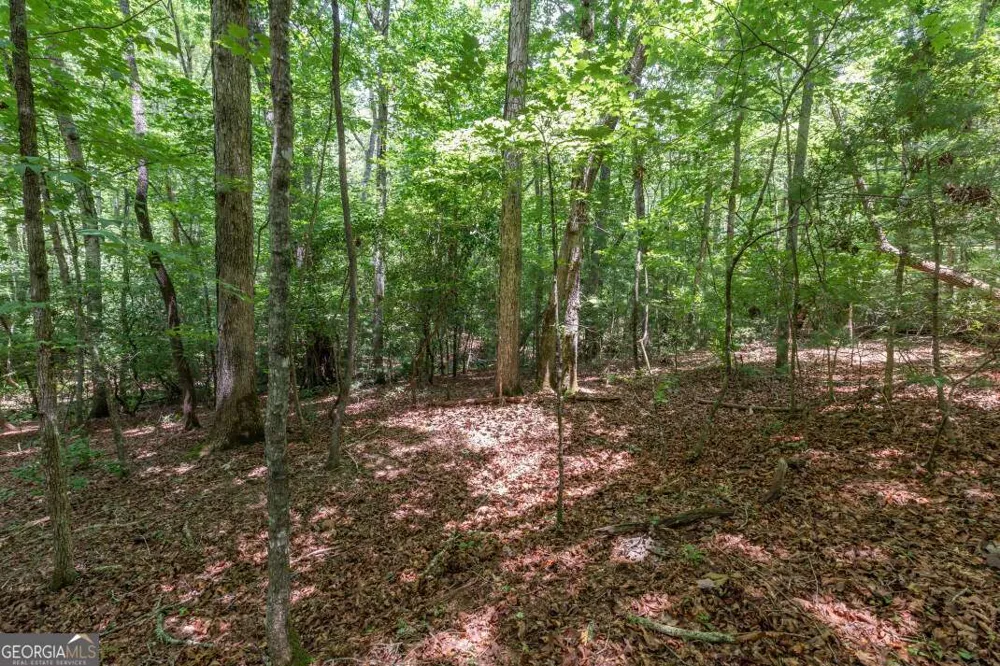 6 AC Solar DR Blue Ridge, GA 30513