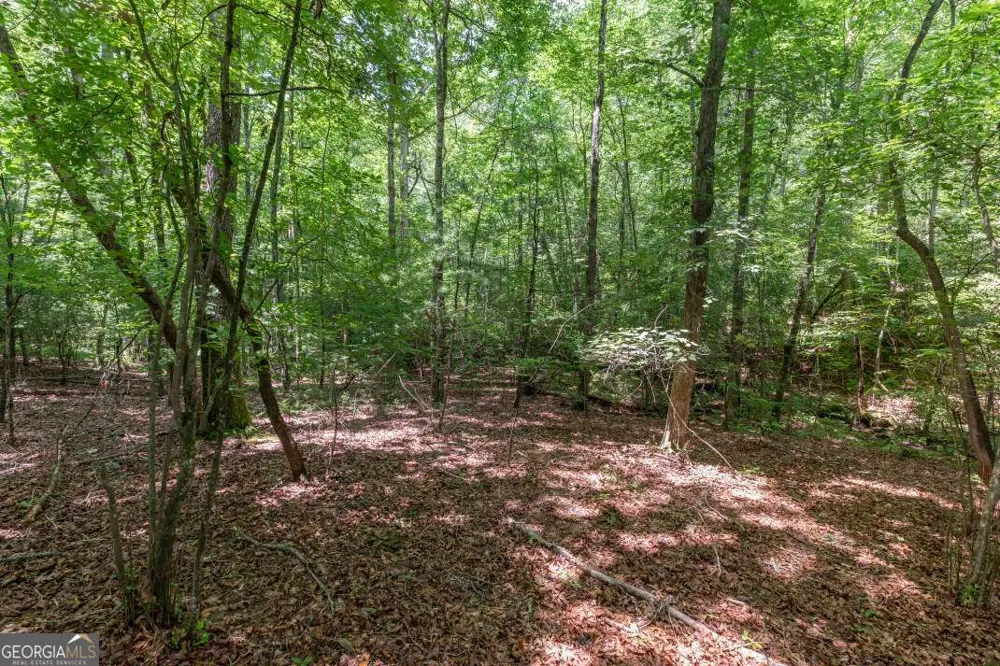 6 AC Solar DR Blue Ridge, GA 30513