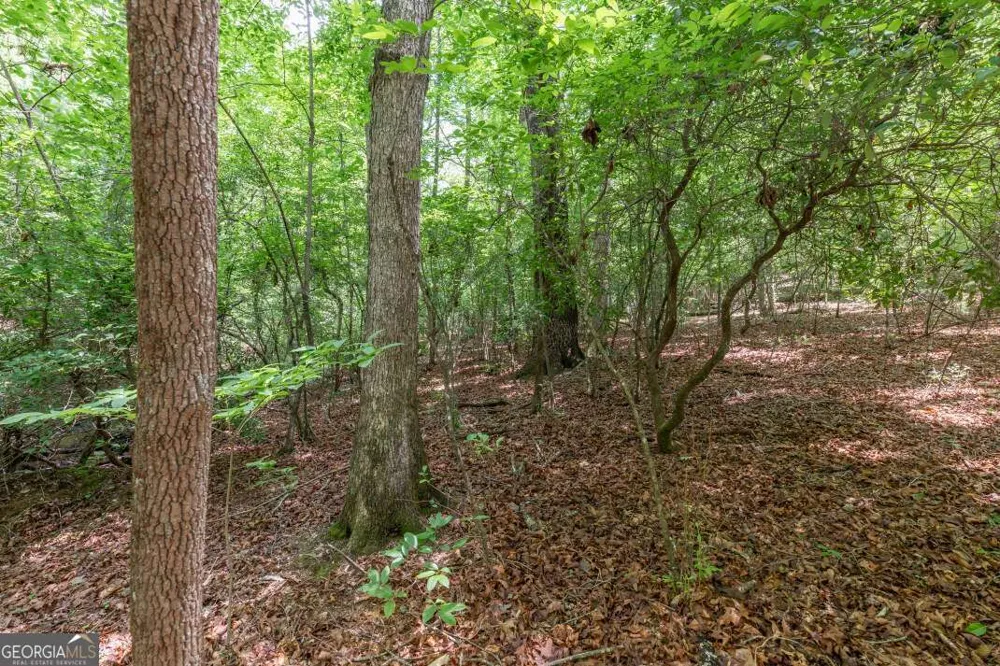6 AC Solar DR Blue Ridge, GA 30513