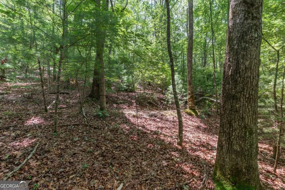 6 AC Solar DR Blue Ridge, GA 30513