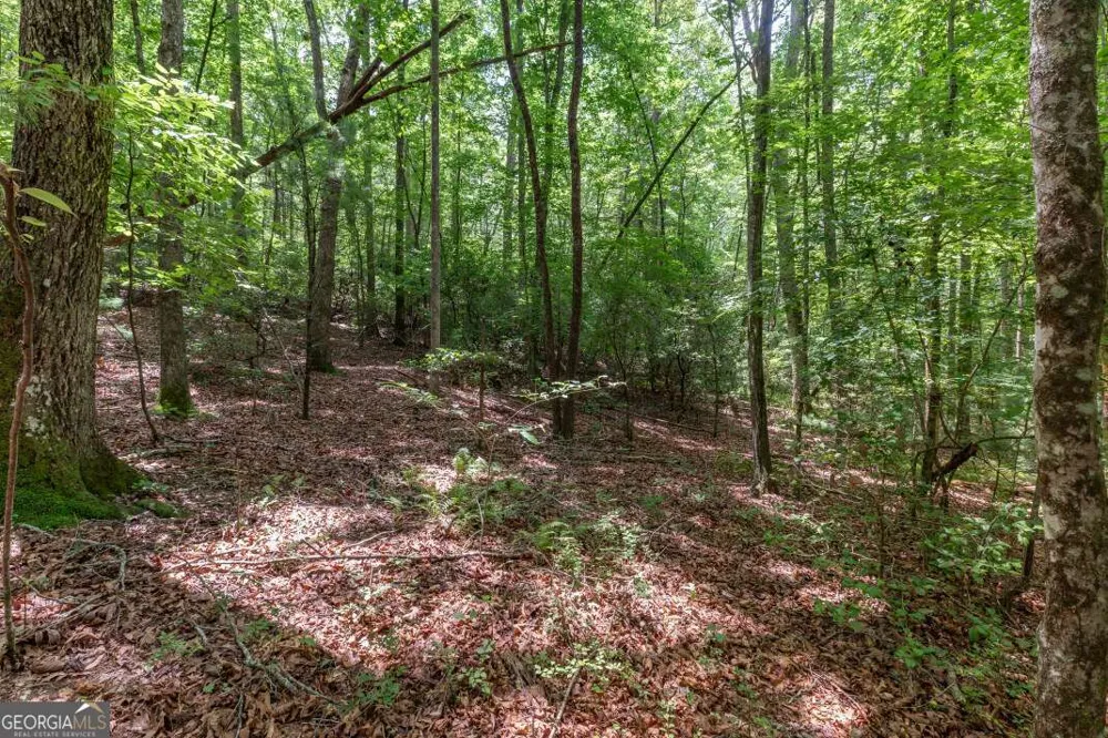 6 AC Solar DR Blue Ridge, GA 30513