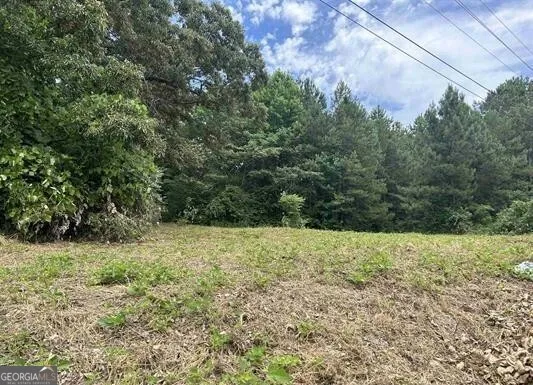 0 Highway 431 Roanoke, AL 36274