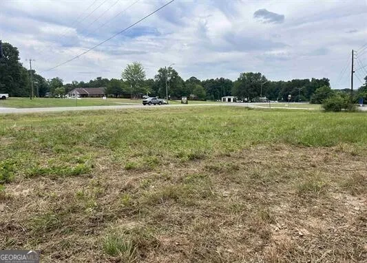 0 Highway 431 Roanoke, AL 36274