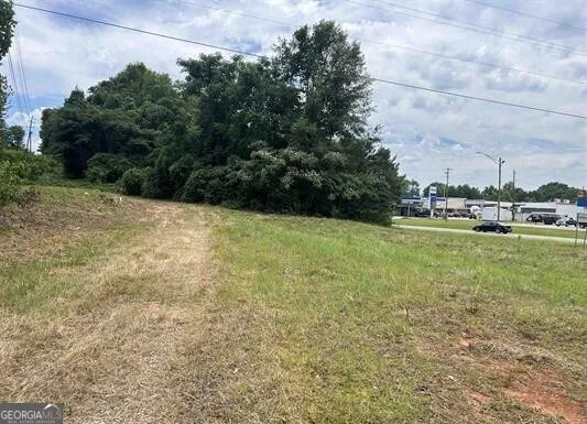 0 Highway 431 Roanoke, AL 36274