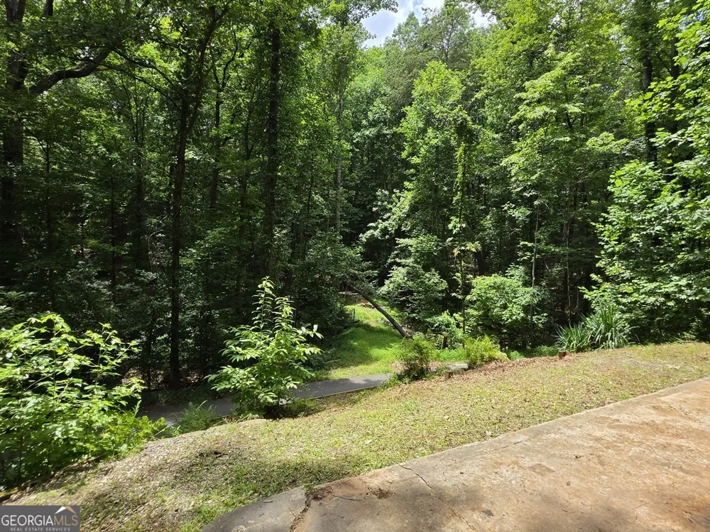 238 Magnificent WAY Cleveland, GA 30528