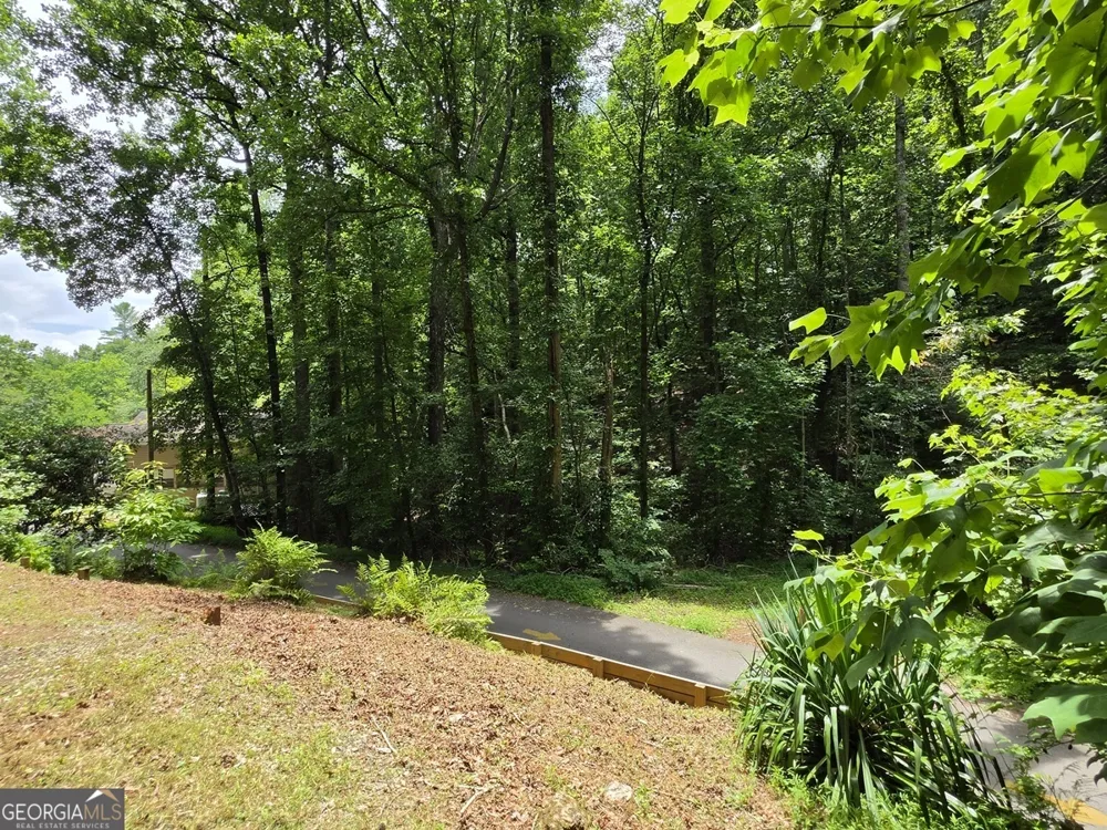 238 Magnificent WAY Cleveland, GA 30528
