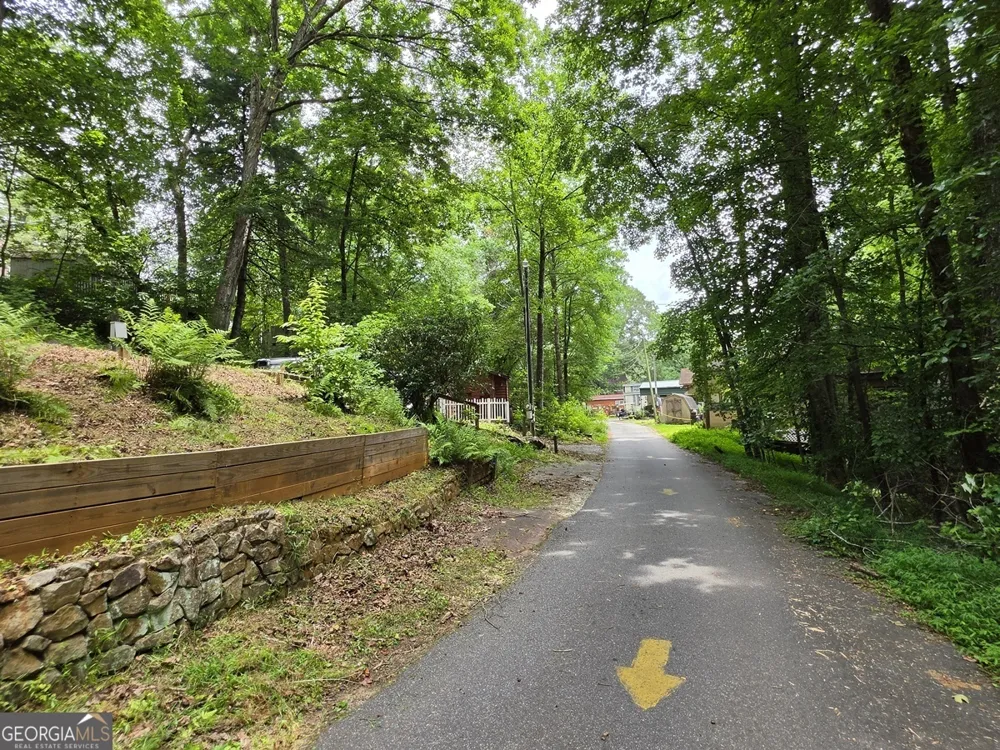 238 Magnificent WAY Cleveland, GA 30528