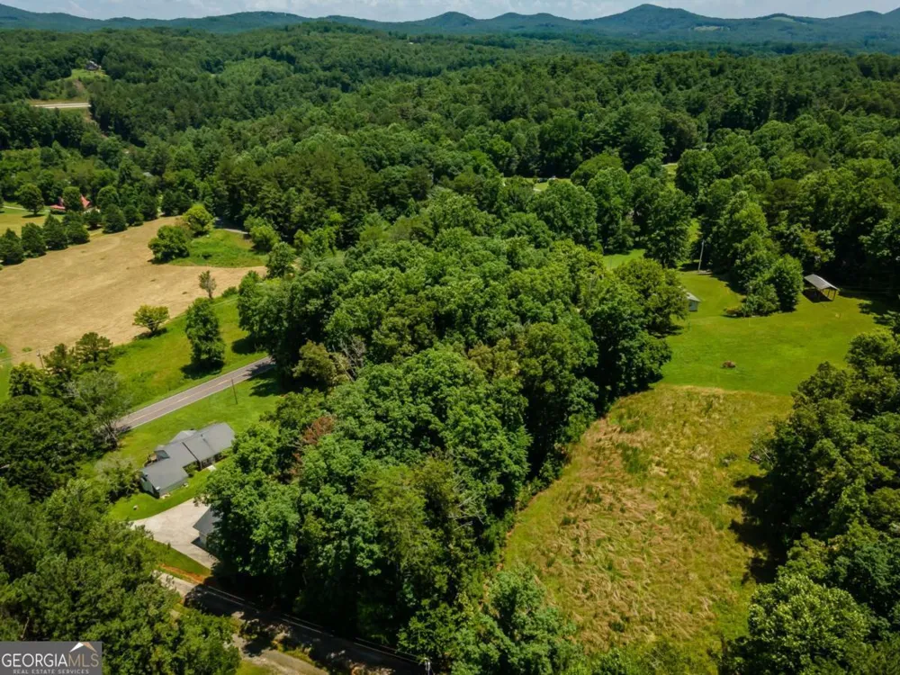 13224 Old Hwy 76 Morganton, GA 30560