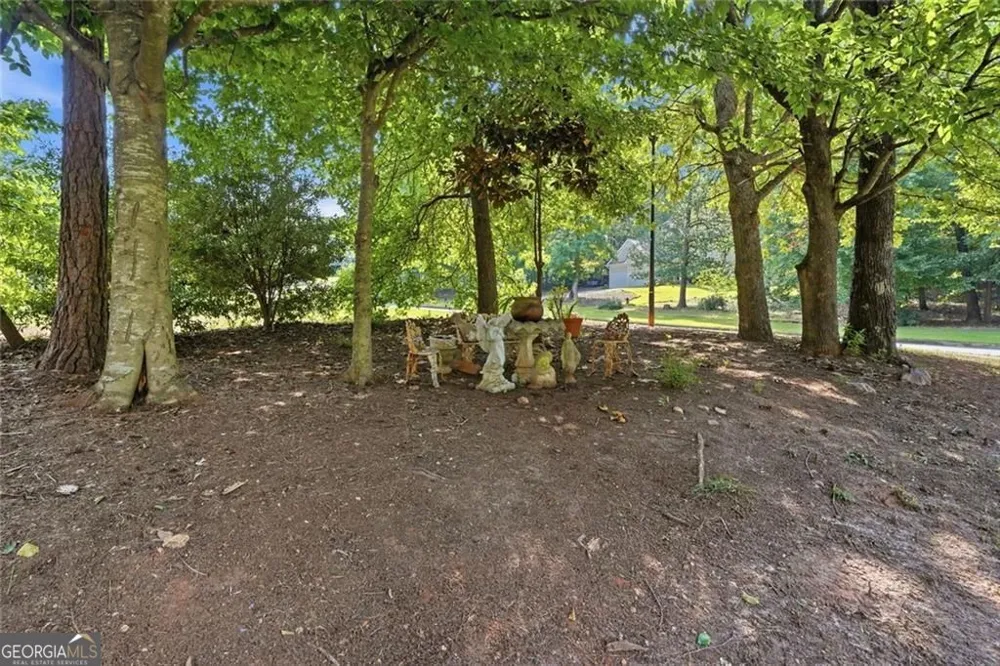 8876 Camp Tree CT Winston, GA 30187