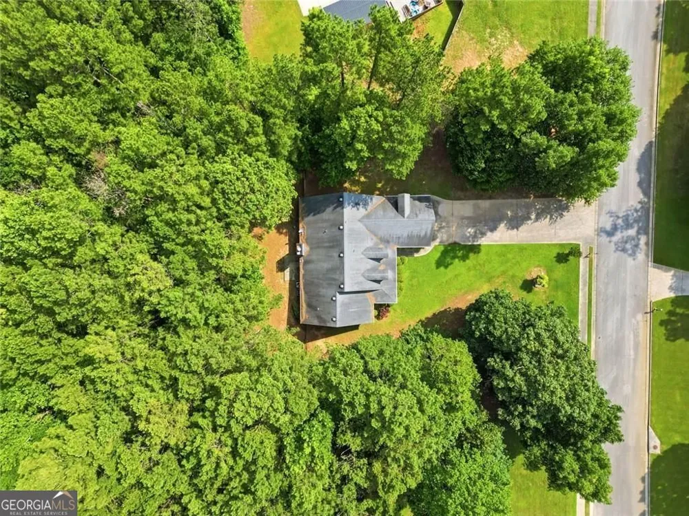 8876 Camp Tree CT Winston, GA 30187