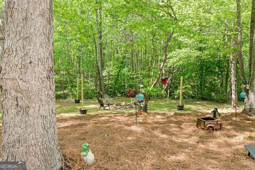 234 Glen Cedar LN Dawsonville, GA 30534