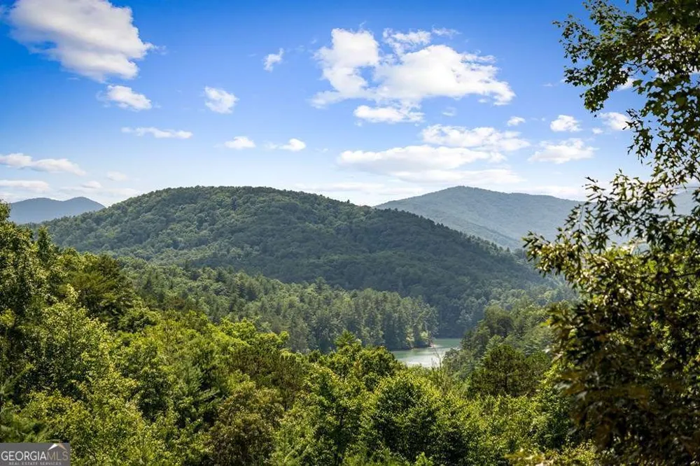 93 Misty Mountain TRL Morganton, GA 30560