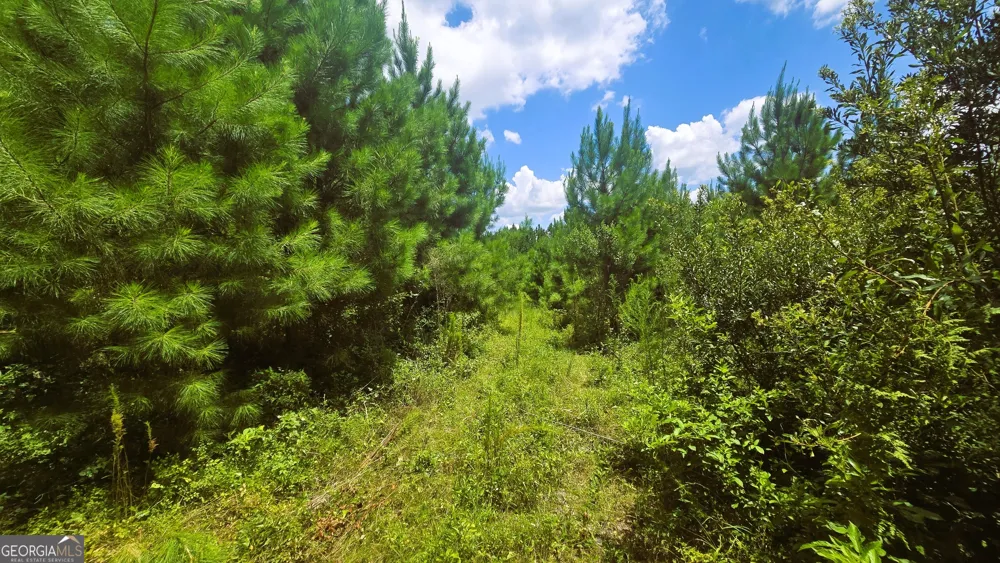 0 East Highway 84 NE Cairo, GA 39827