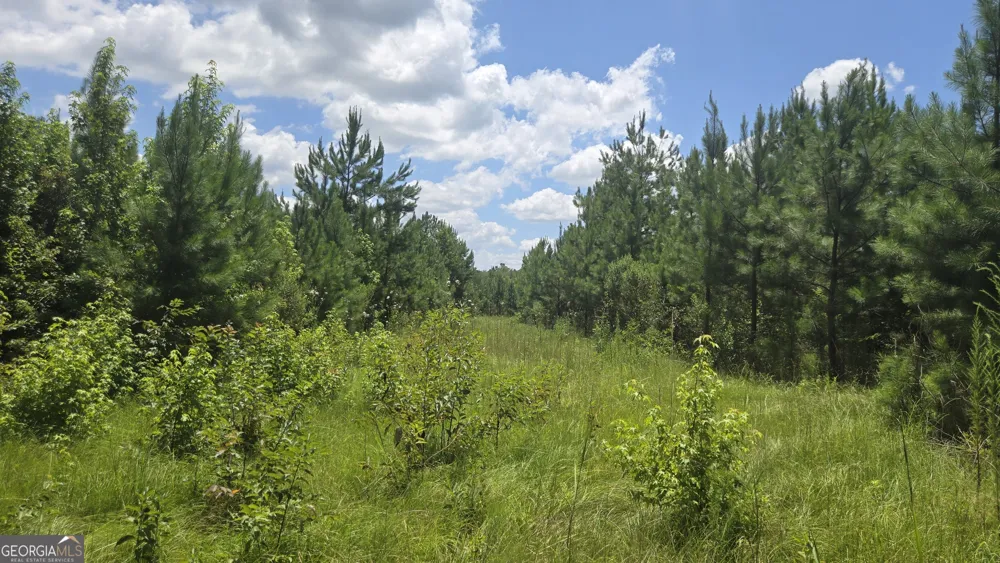 0 East Highway 84 NE Cairo, GA 39827