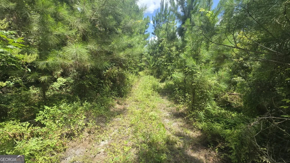 0 East Highway 84 NE Cairo, GA 39827