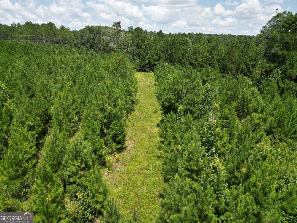 0 East Highway 84 NE Cairo, GA 39827