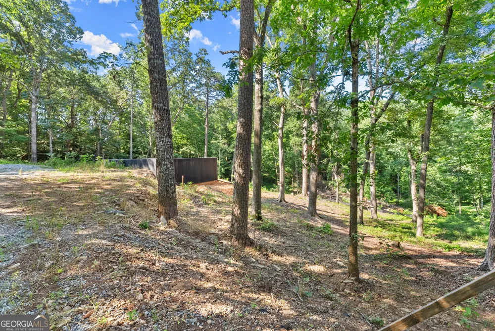 144 Alder ST Demorest, GA 30535