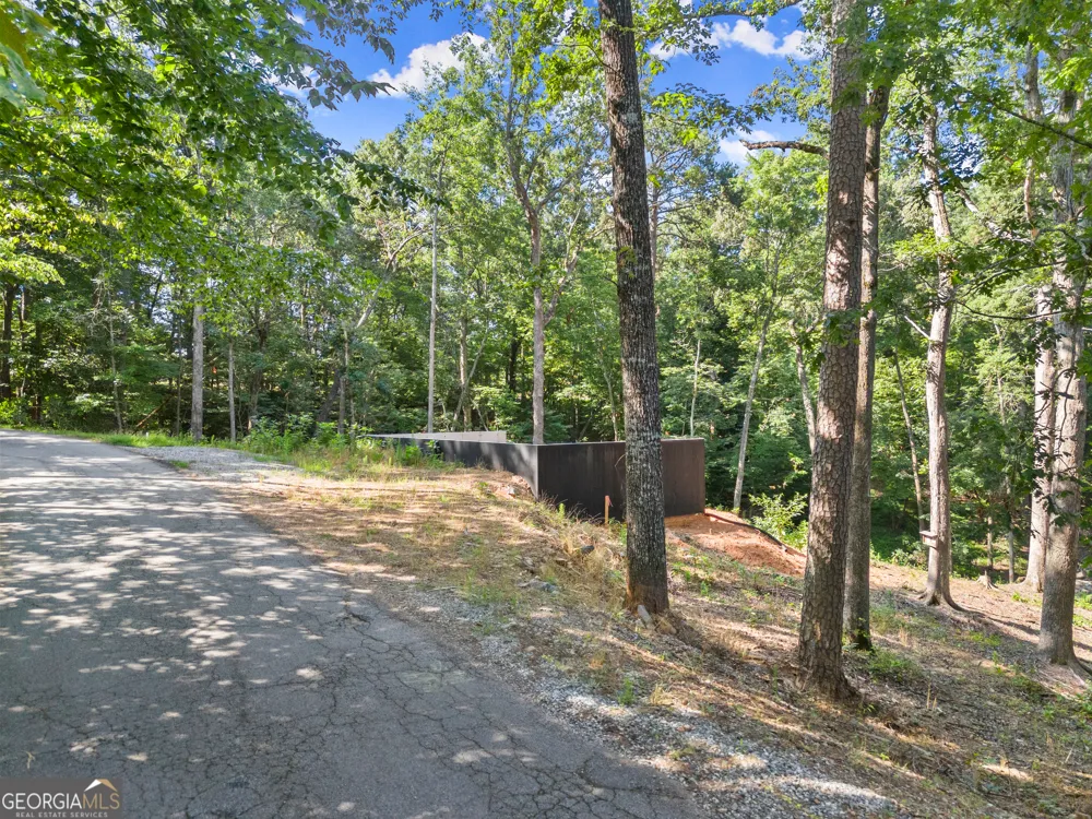 144 Alder ST Demorest, GA 30535