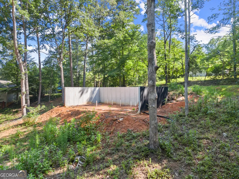 144 Alder ST Demorest, GA 30535