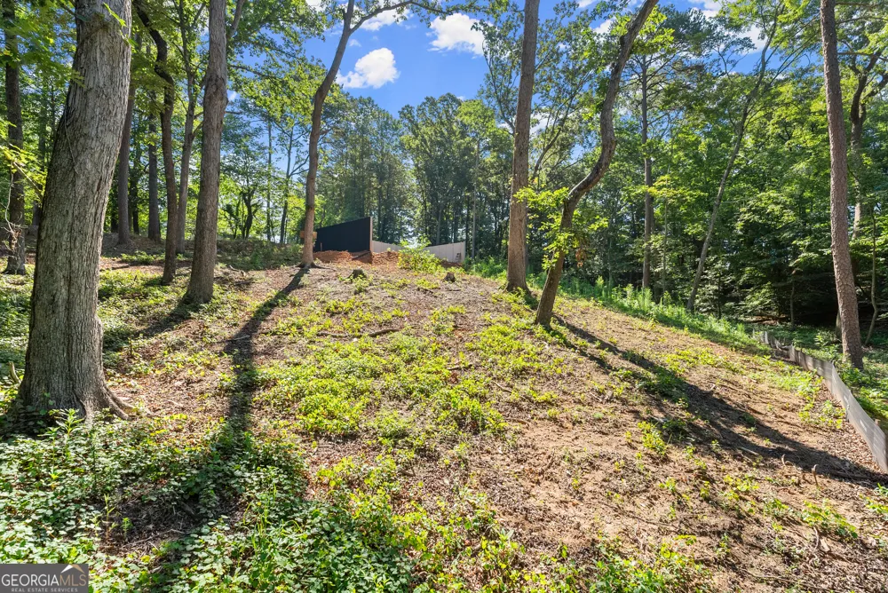 144 Alder ST Demorest, GA 30535