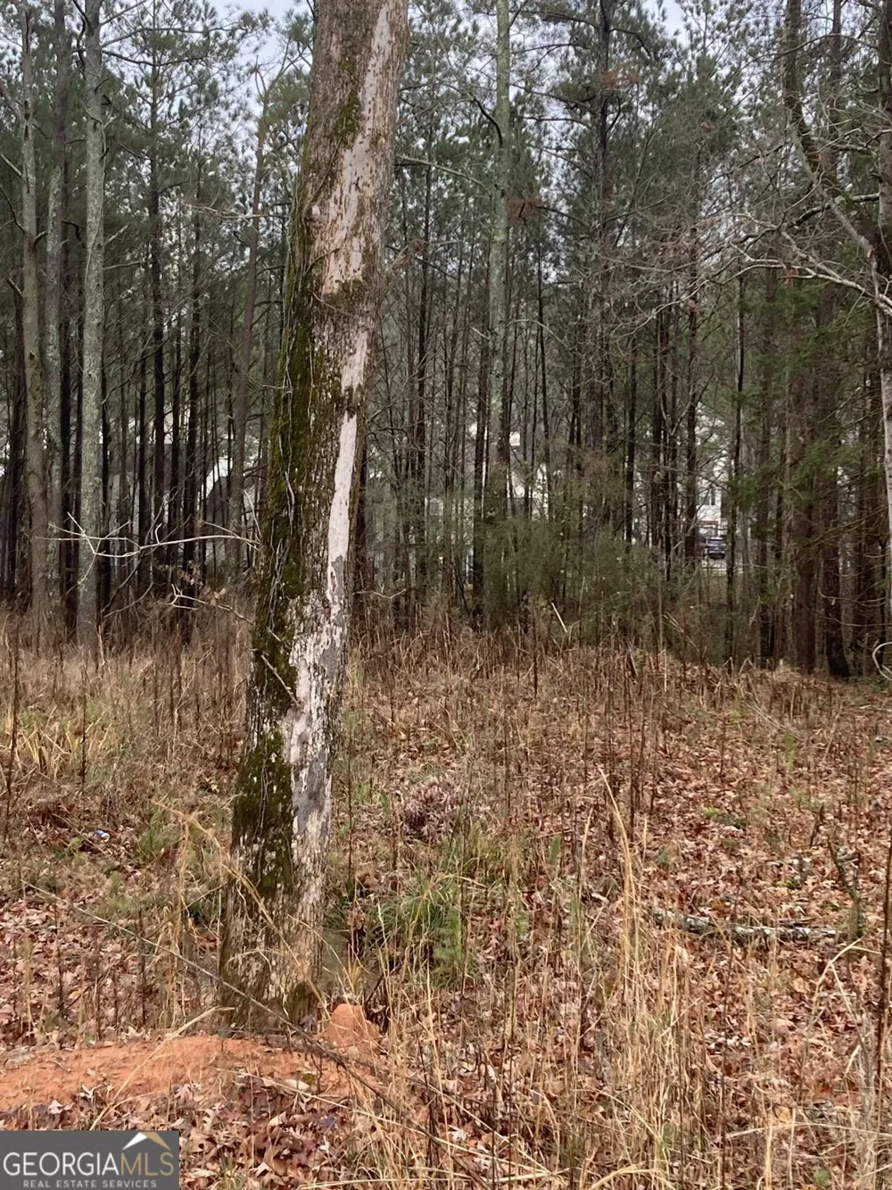 6661 Highway 42 Rex, GA 30273
