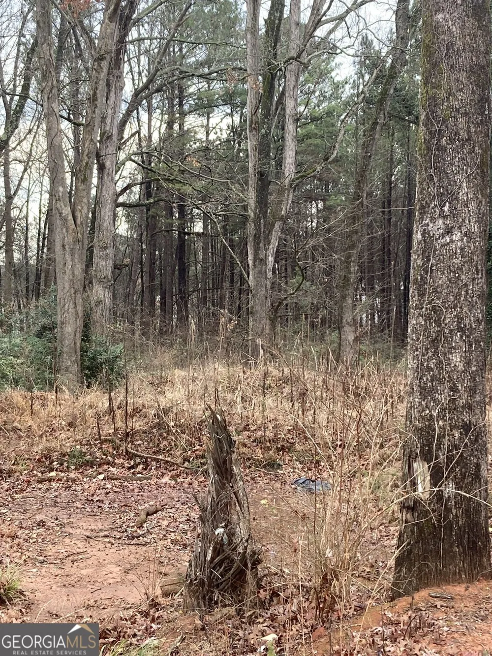 6661 Highway 42 Rex, GA 30273