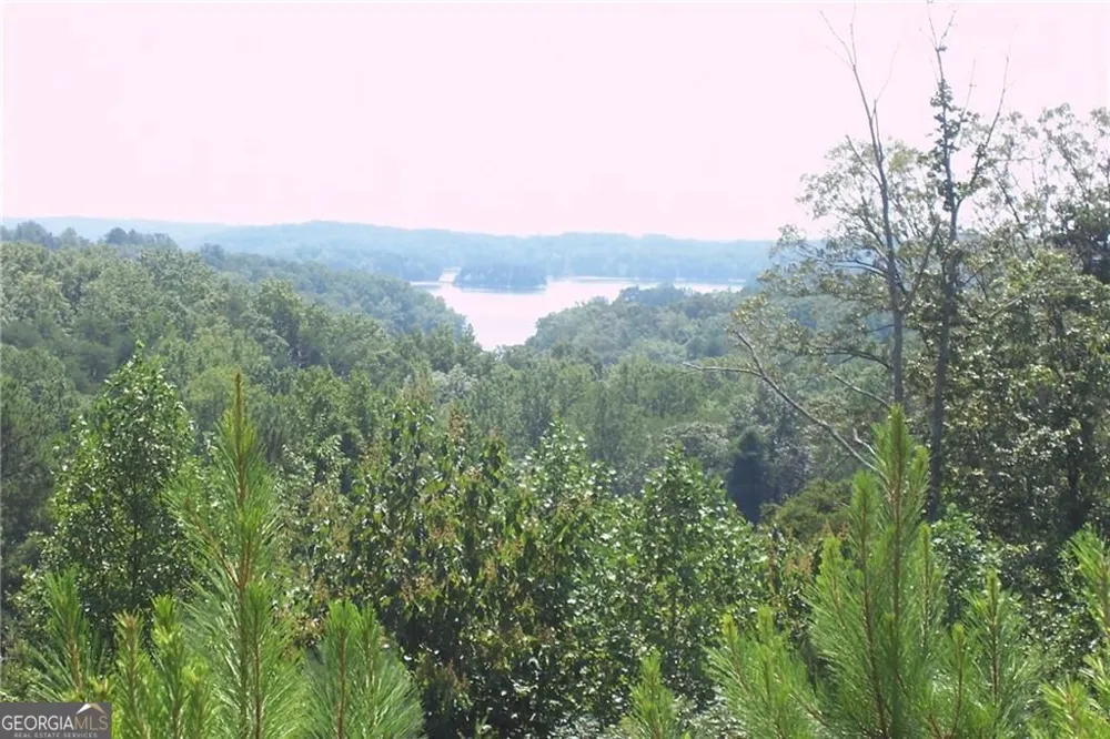 3533 Lake Ridge DR Gainesville, GA 30506