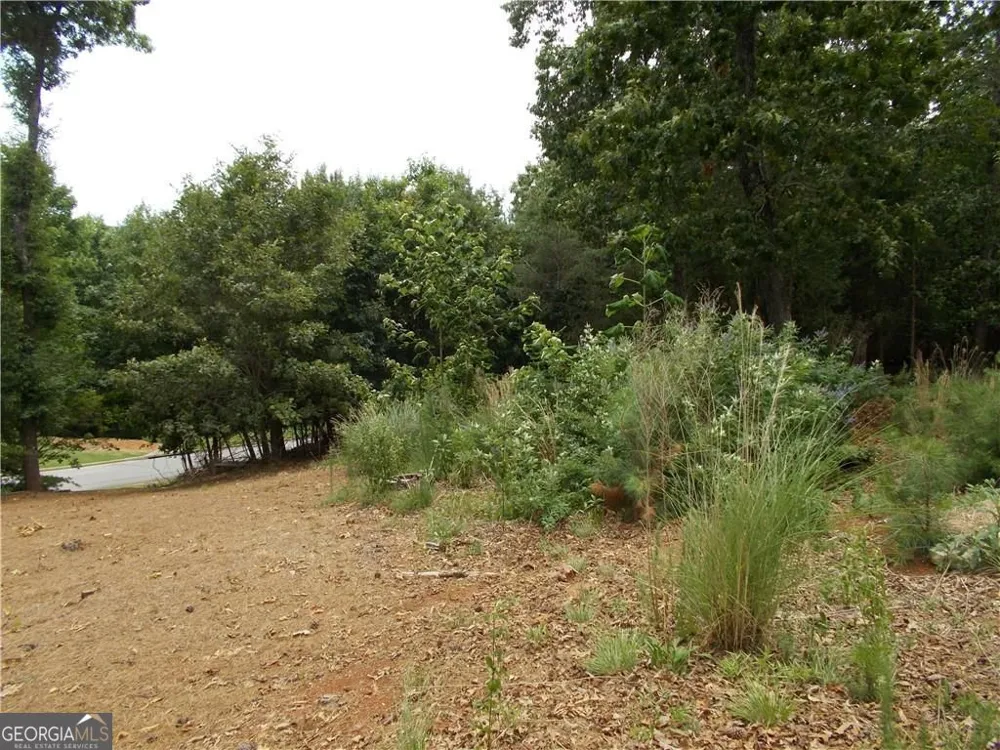 3533 Lake Ridge DR Gainesville, GA 30506