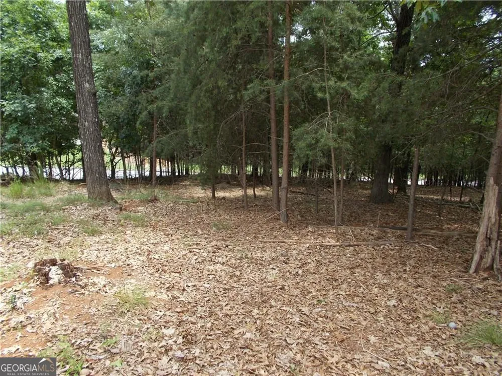 3533 Lake Ridge DR Gainesville, GA 30506