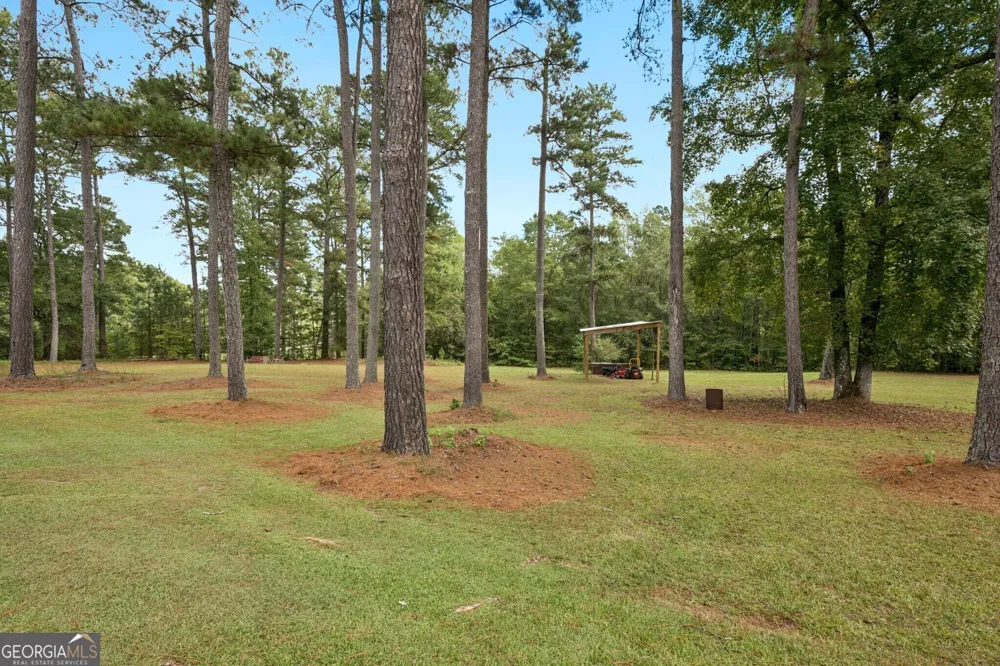 334 Luther Bailey RD Senoia, GA 30276
