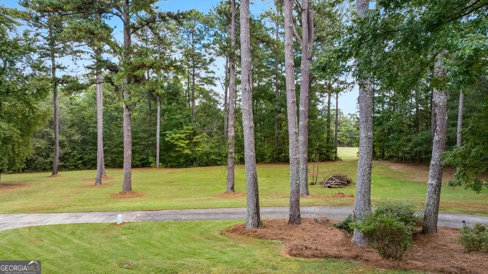 334 Luther Bailey RD Senoia, GA 30276
