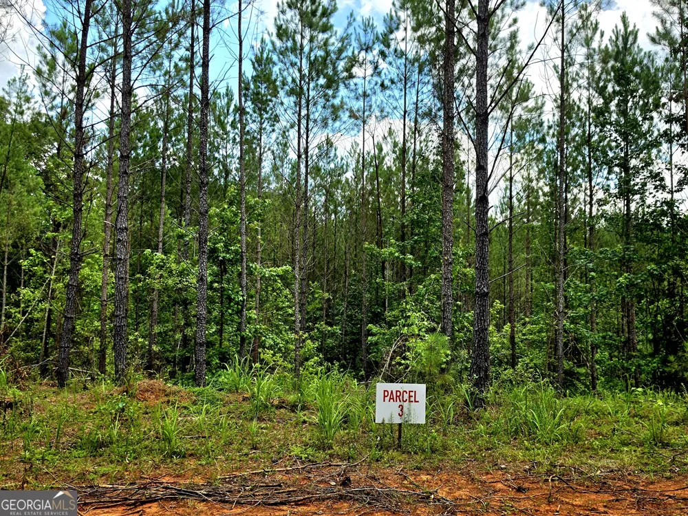 0 Highway 42 S Forsyth, GA 31029