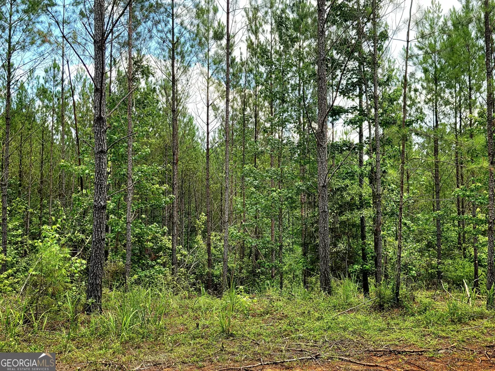 0 Highway 42 S Forsyth, GA 31029