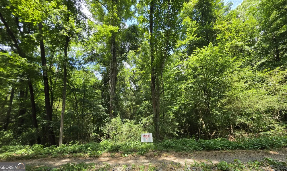 0 Highway 42 S Forsyth, GA 31029
