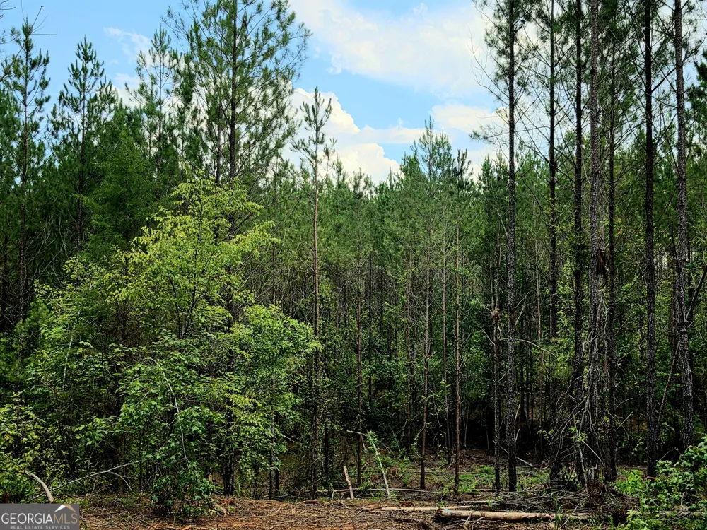 0 Highway 42 S Forsyth, GA 31029