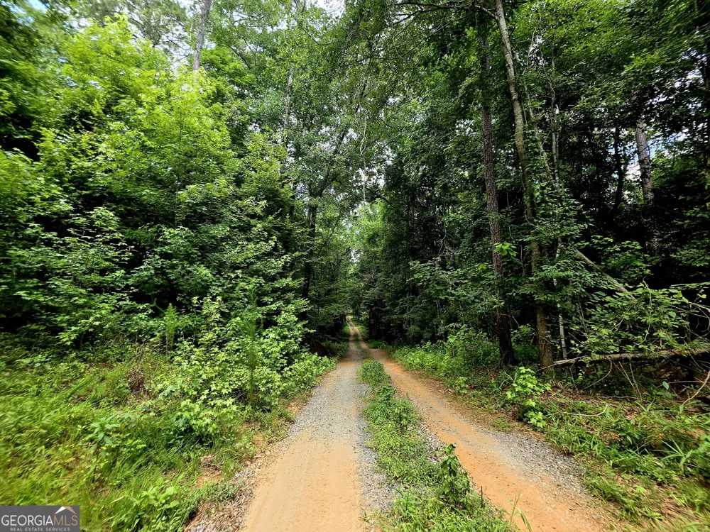 0 Highway 42 S Forsyth, GA 31029