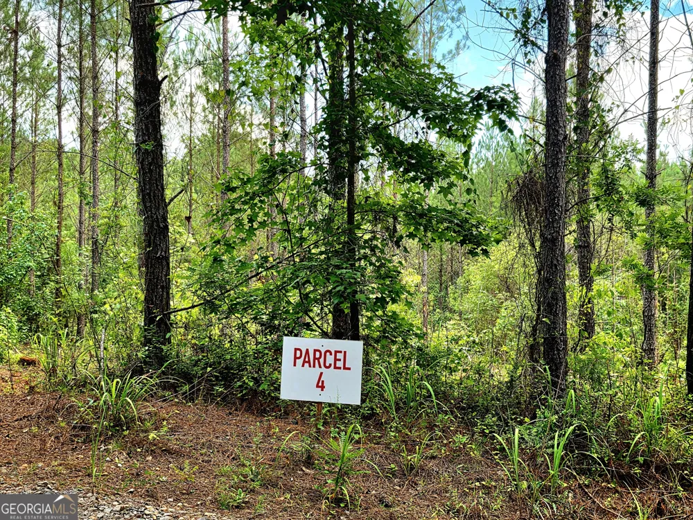 0 Highway 42 S Forsyth, GA 31029