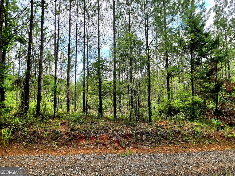 0 Highway 42 S Forsyth, GA 31029