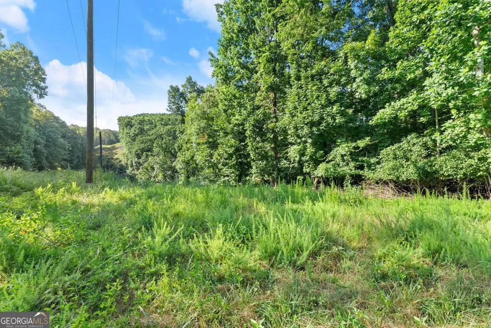 3199 Lotheridge RD Gainesville, GA 30501